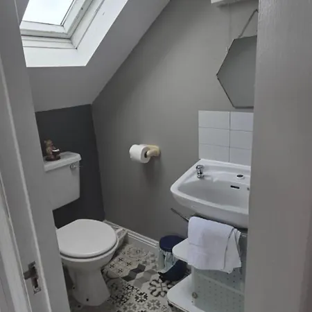 Salmon Island View בית אירוח Dromineer