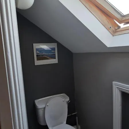 Salmon Island View * Dromineer